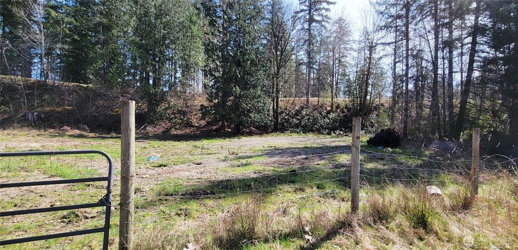 Photo of 50 W Alder Place, Elma, WA 98541 (MLS # 2502806)