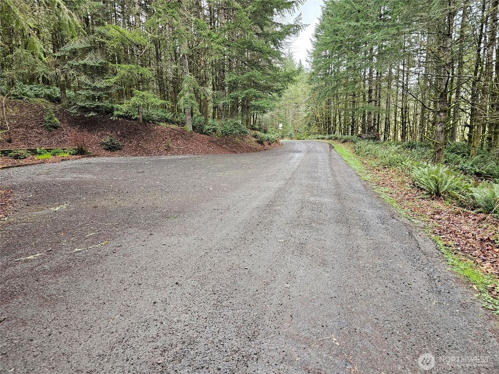 Photo of 573 Clearwater Road, Kelso, WA 98626 (MLS # 2489095)