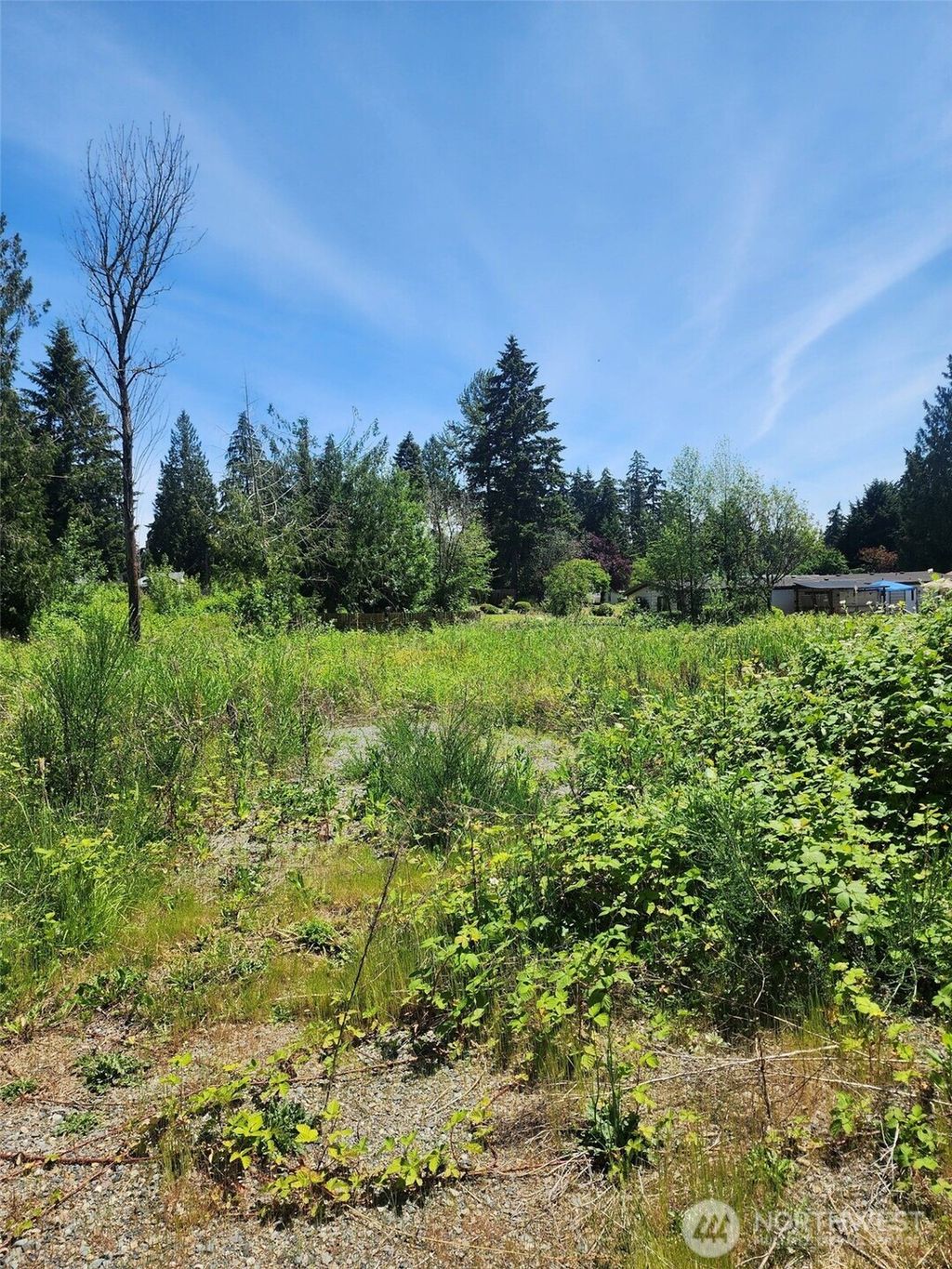 Photo of 376 XX 47th Avenue S, Auburn, WA 98001 (MLS # 2533085)