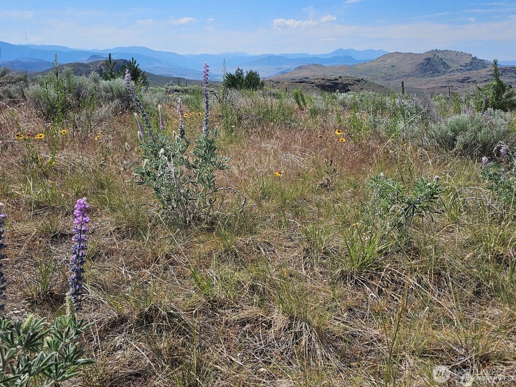 Photo of 716 x Havillah Road, Tonasket, WA 98855 (MLS # 2580273)