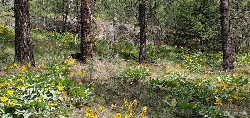 6 Okanogan River Ranches Div 1