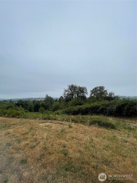 Photo of 47 Alexander Road, Raymond, WA 98577 (MLS # 2422210)