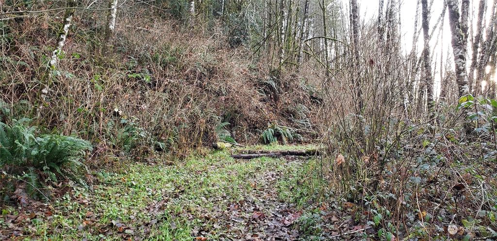 Photo of 0 131xx Mountain Loop Highway, Granite Falls, WA 98252 (MLS # 2328463)