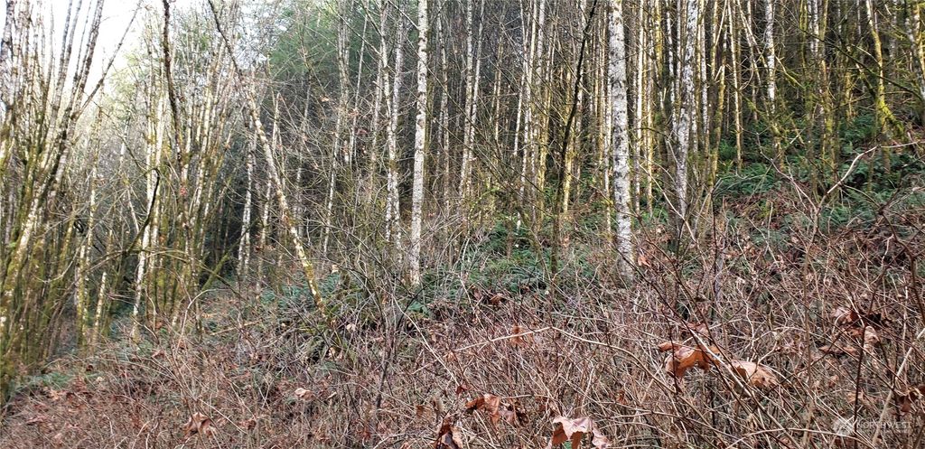 Photo of 0 131xx Mountain Loop Highway, Granite Falls, WA 98252 (MLS # 2328463)