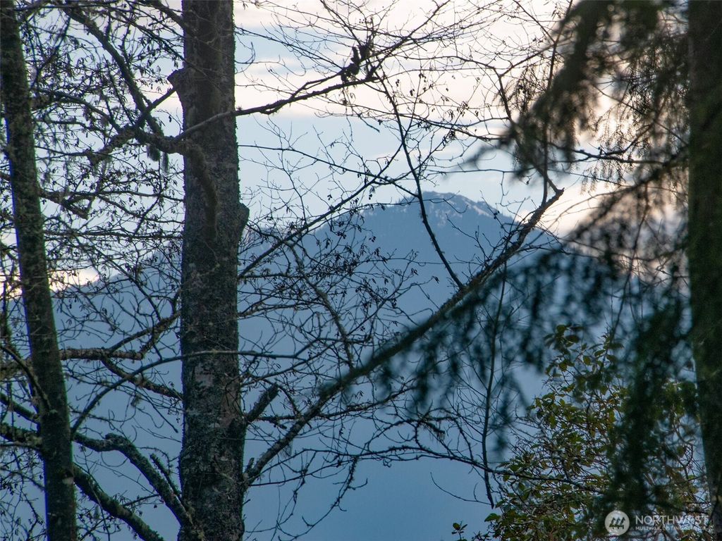 Photo of 805 Lemmon Road, Port Angeles, WA 98362 (MLS # 2472387)