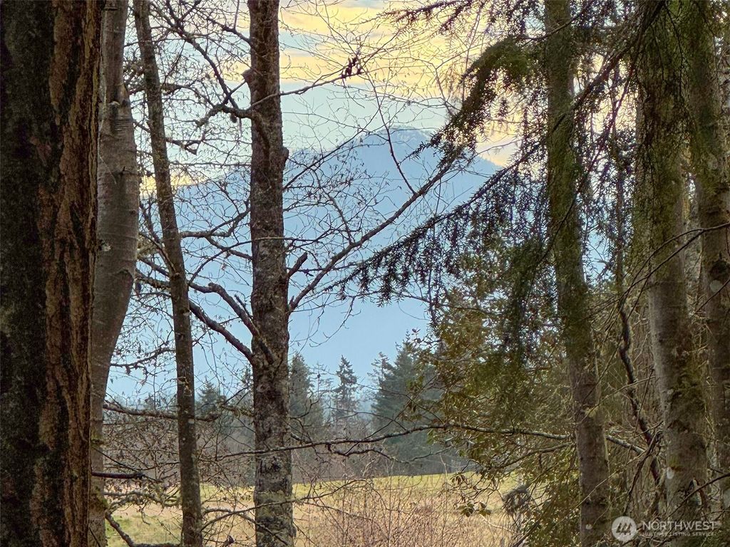 Photo of 805 Lemmon Road, Port Angeles, WA 98362 (MLS # 2472387)