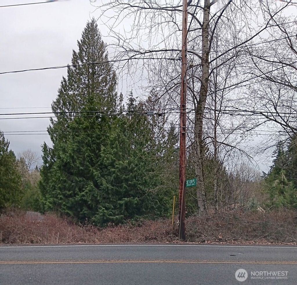 Photo of 0 196th Avenue, Renton, WA 98059 (MLS # 2480269)