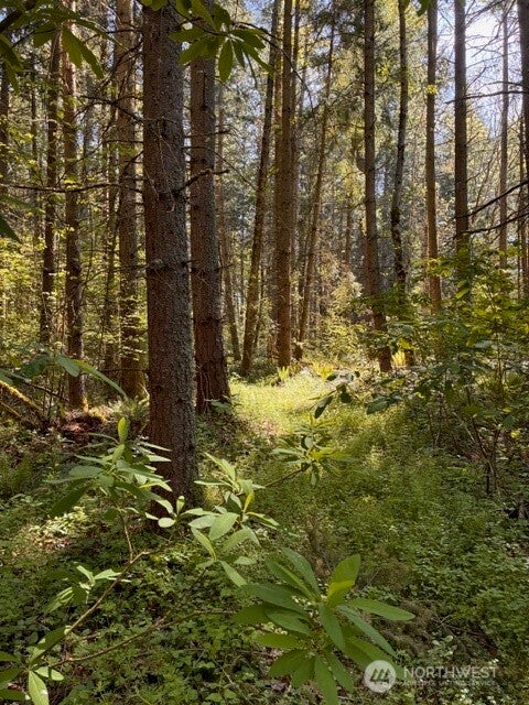 Photo of 0 Chuckawa Lane SW, Yelm, WA 98597 (MLS # 2473345)