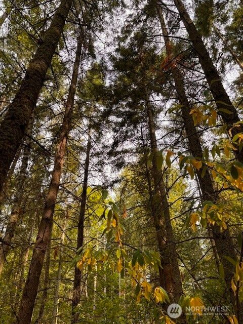 Photo of 0 Chuckawa Lane SW, Yelm, WA 98597 (MLS # 2473345)