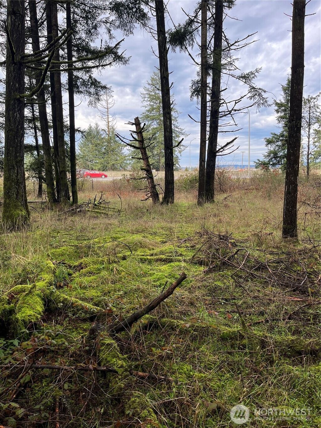 Photo of 5945 Ivan Way SW, Rochester, WA 98579 (MLS # 2457717)