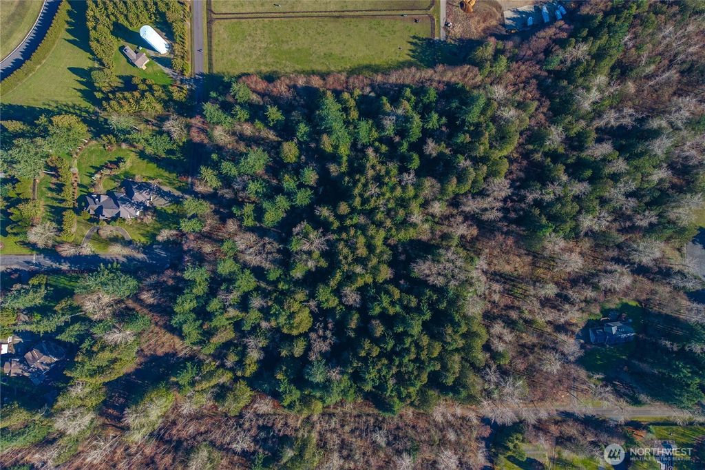 Photo of 67 XX 258th Avenue NE, Redmond, WA 98053 (MLS # 2488904)