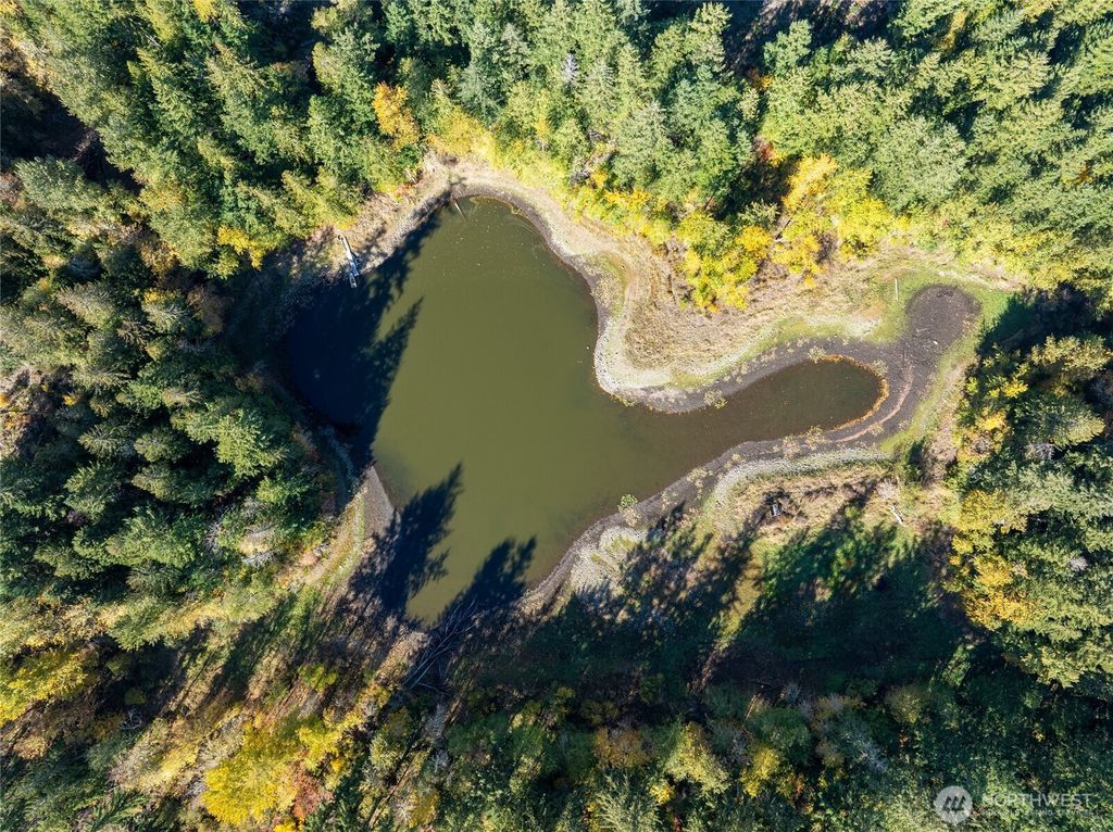 Photo of 132 xx Algyer Road SE, Rainier, WA 98576 (MLS # 2453263)