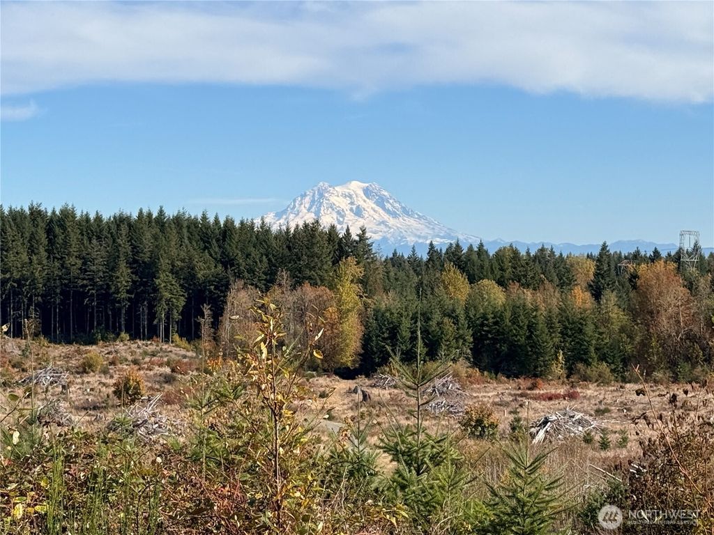 Photo of 132 xx Algyer Road SE, Rainier, WA 98576 (MLS # 2453263)