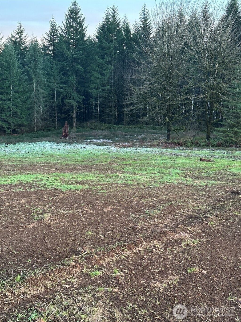 Photo of 245 Suncrest Drive, Castle Rock, WA 98611 (MLS # 2468267)