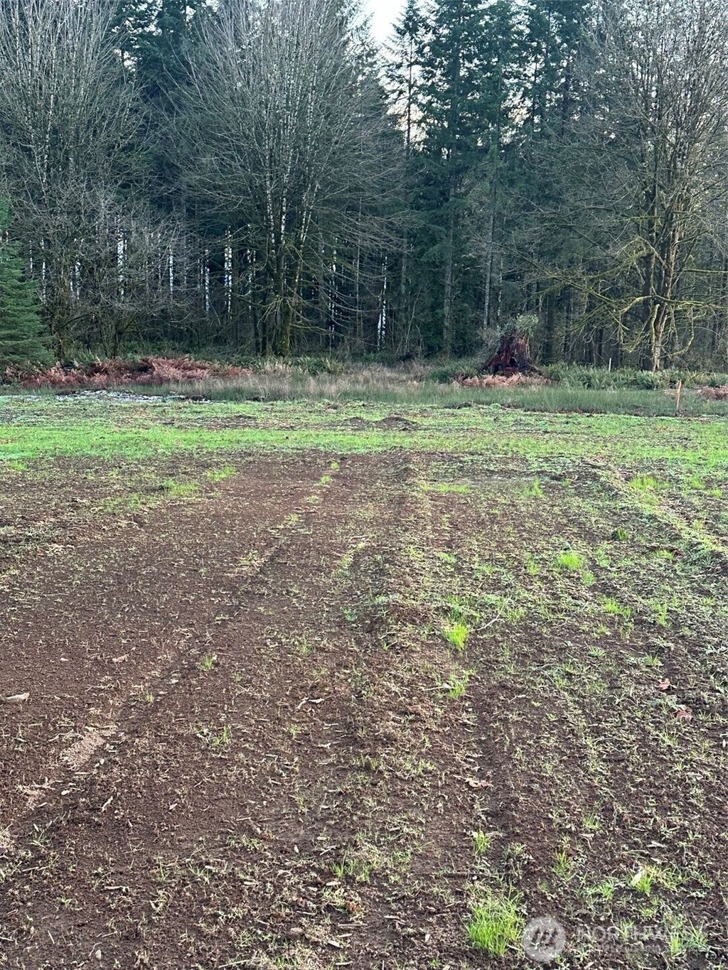 Photo of 245 Suncrest Drive, Castle Rock, WA 98611 (MLS # 2468267)