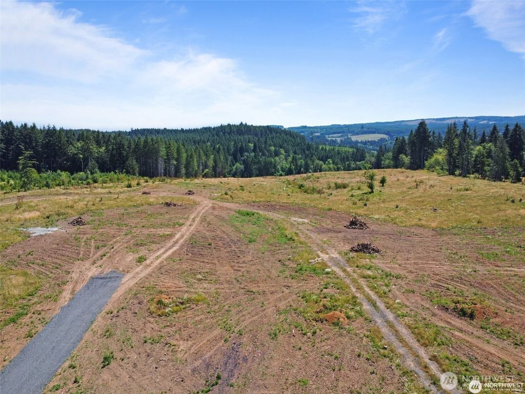 Photo of 597 Brown Road E, Adna, WA 98522 (MLS # 2457431)