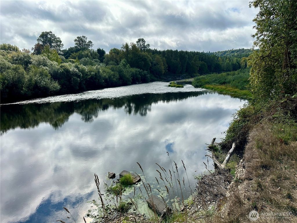 Photo of 0 Dannie Womer Lane, Oakville, WA 98568 (MLS # 2497945)