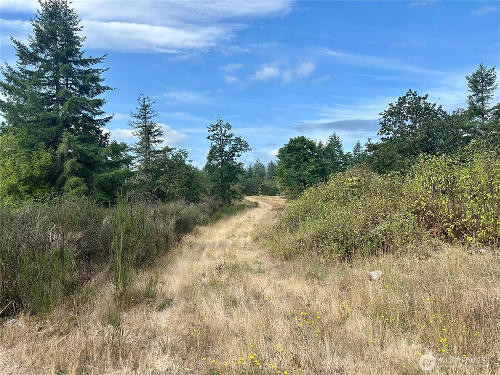 Photo of 0 Dannie Womer Lane, Oakville, WA 98568 (MLS # 2497945)