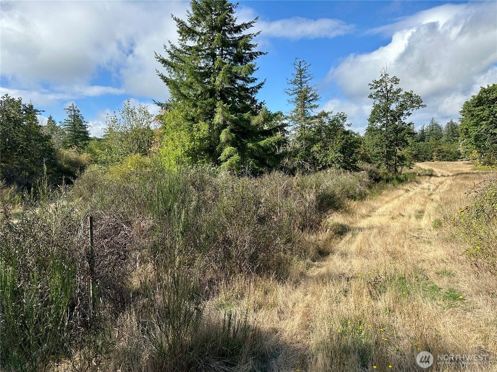 Photo of 0 Dannie Womer Lane, Oakville, WA 98568 (MLS # 2497945)