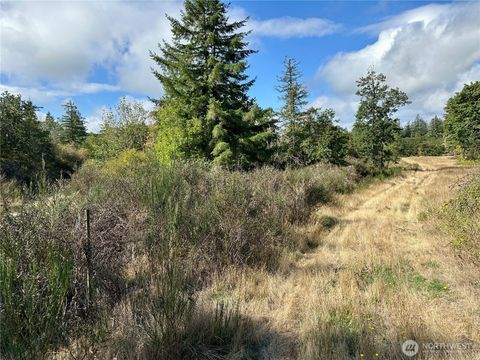 0 Dannie Womer Lane Oakville WA 98568