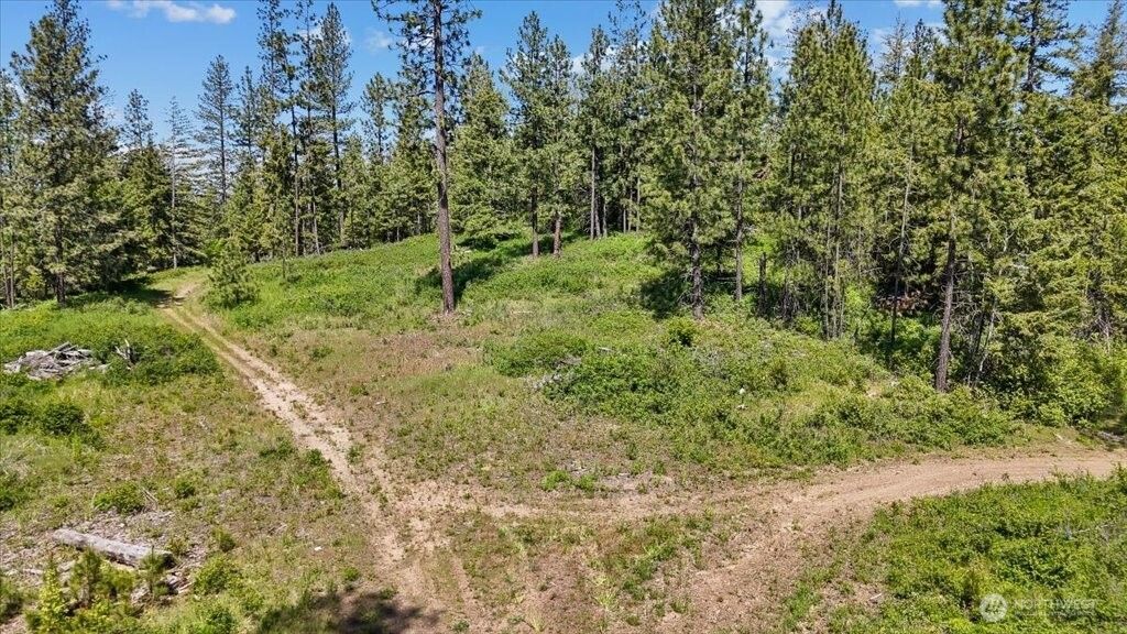 Photo of 18 xxx Miner Road, Mead, WA 99021 (MLS # 2528740)
