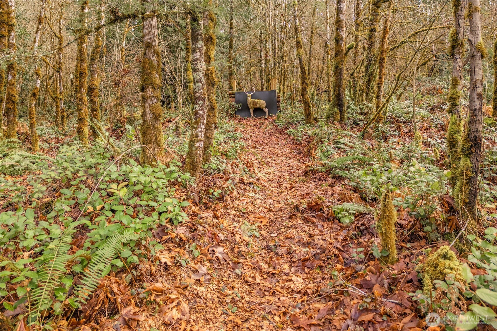 Maple Valley, Washington 98038, United States, 3 Bedrooms Bedrooms, ,3 BathroomsBathrooms,Residential,Pending,78521