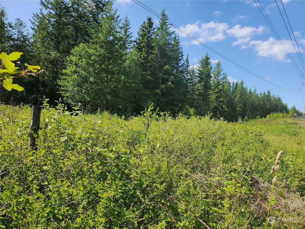 Photo of 34 xxx SE 257th Street, Ravensdale, WA 98051 (MLS # 2132741)