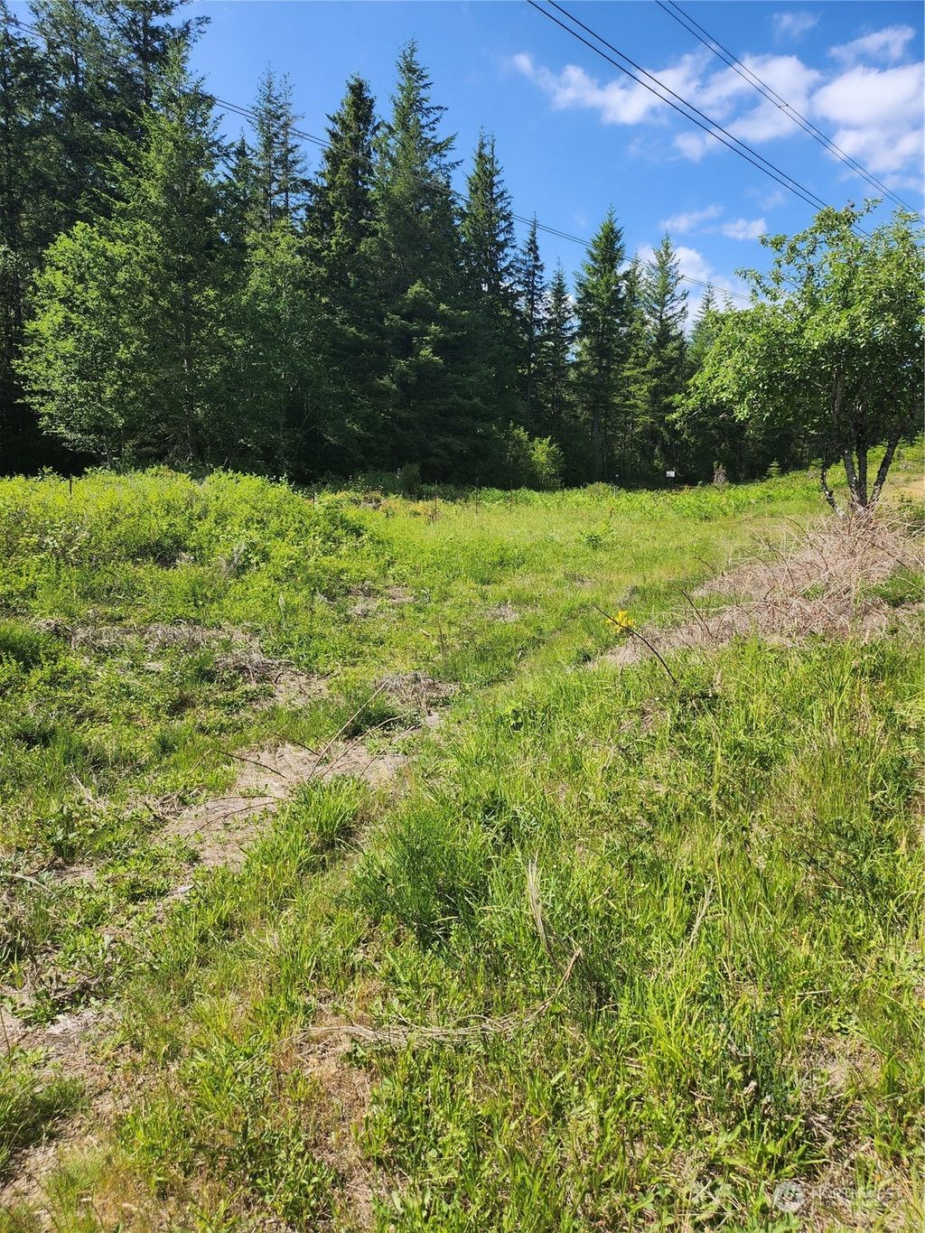 Photo of 34 xxx SE 257th Street, Ravensdale, WA 98051 (MLS # 2132741)