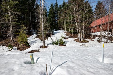 2 E Hyak Drive Snoqualmie Pass WA 98068