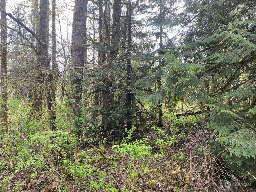 Photo of 0 312th Avenue NE, Carnation, WA 98014 (MLS # 2221029)