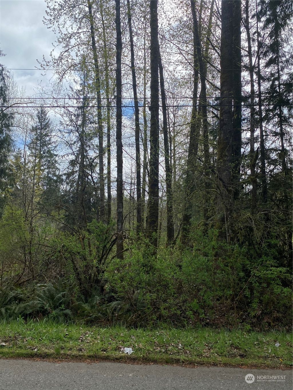 Photo of 0 312th Avenue NE, Carnation, WA 98014 (MLS # 2221029)