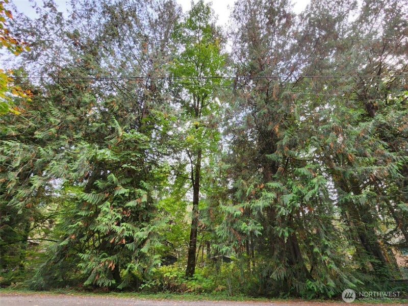 19504 River Place
