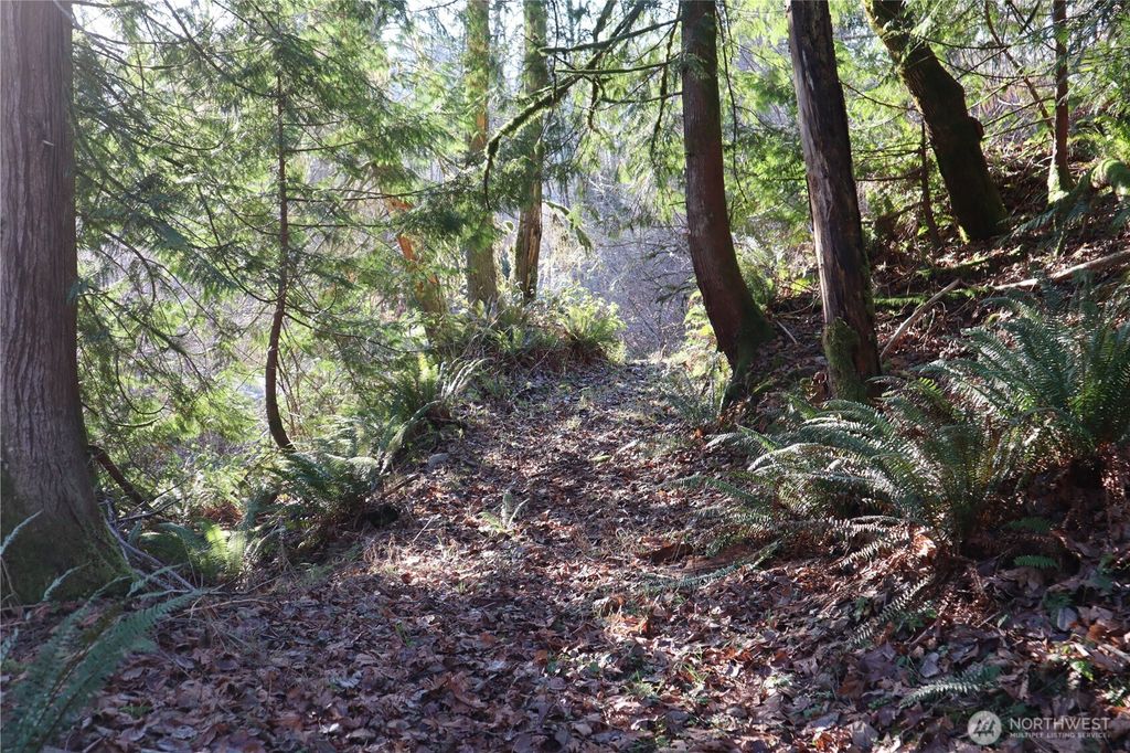 Photo of 239 SE 238th Street, Maple Valley, WA 98038 (MLS # 2477476)