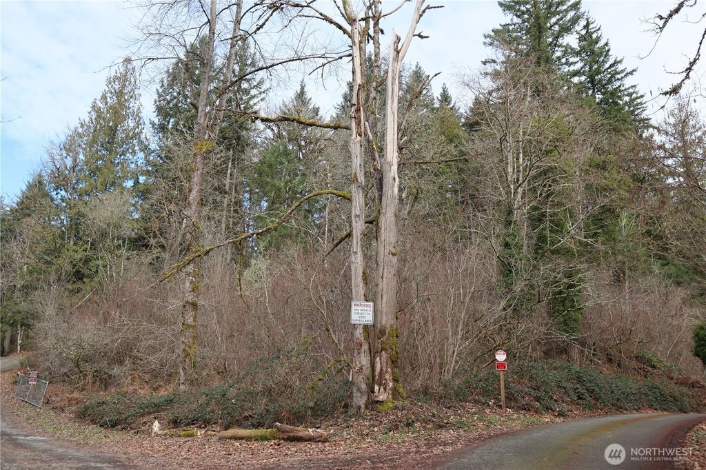 Photo of 239 SE 238th Street, Maple Valley, WA 98038 (MLS # 2477476)