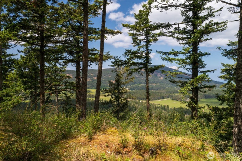 1700 Mountain Crest