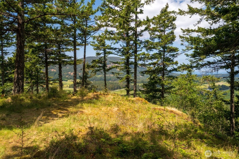 1700 Mountain Crest