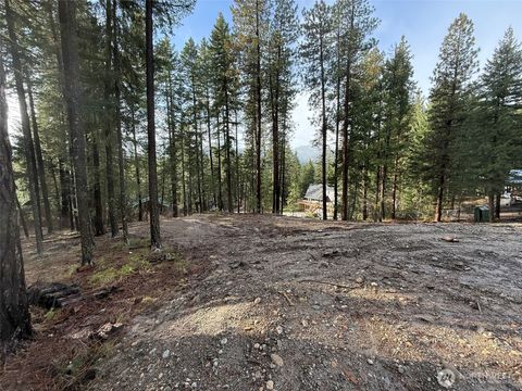 Photo of 22124 Appaloosa Lane, Leavenworth, WA 98826 (MLS # 2461663)