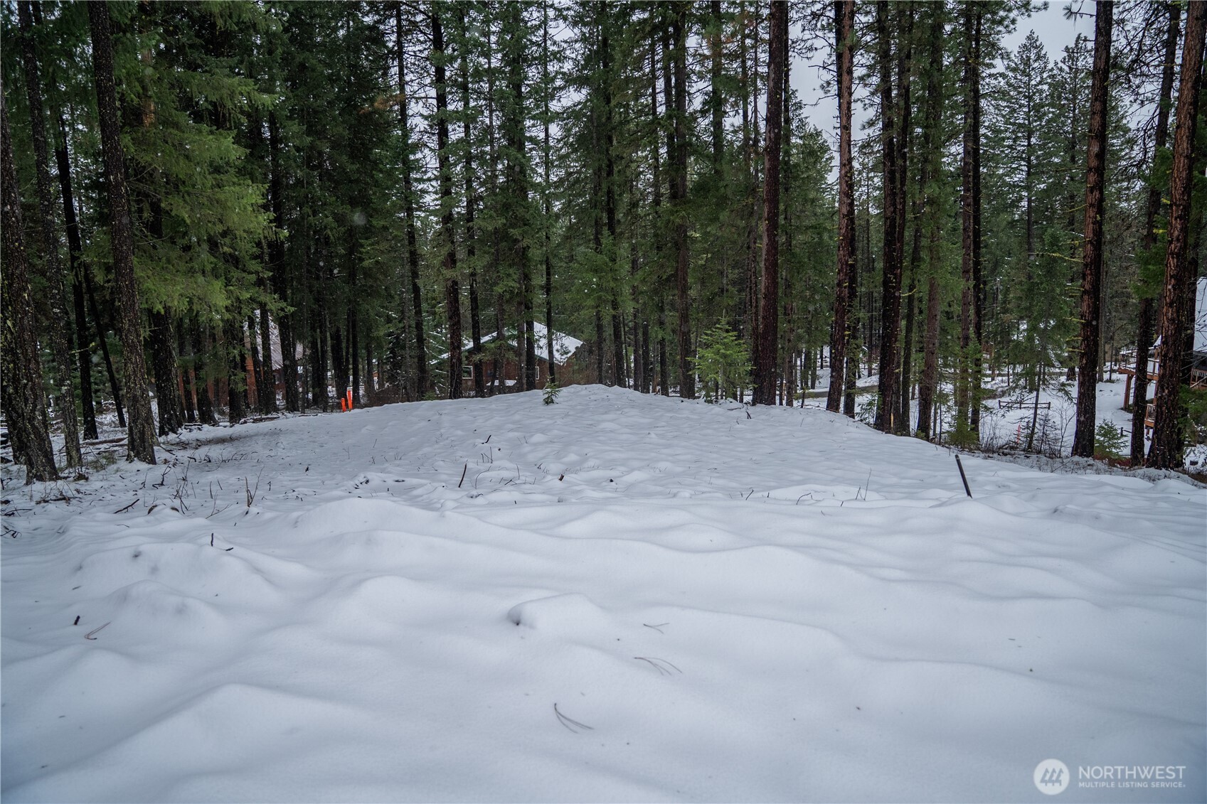 22124 Appaloosa Lane