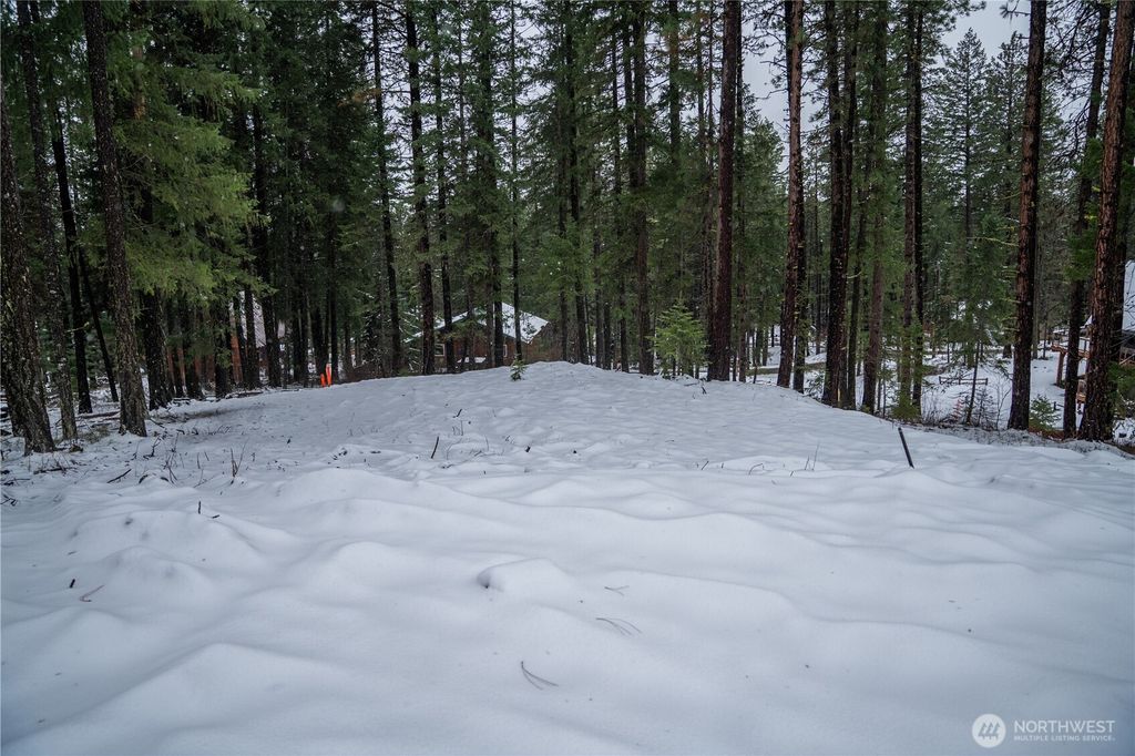 Photo of 22124 Appaloosa Lane, Leavenworth, WA 98826 (MLS # 2461663)