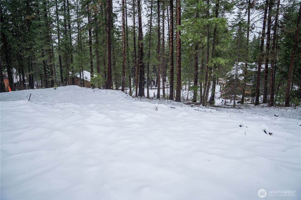 Photo of 22124 Appaloosa Lane, Leavenworth, WA 98826 (MLS # 2461663)