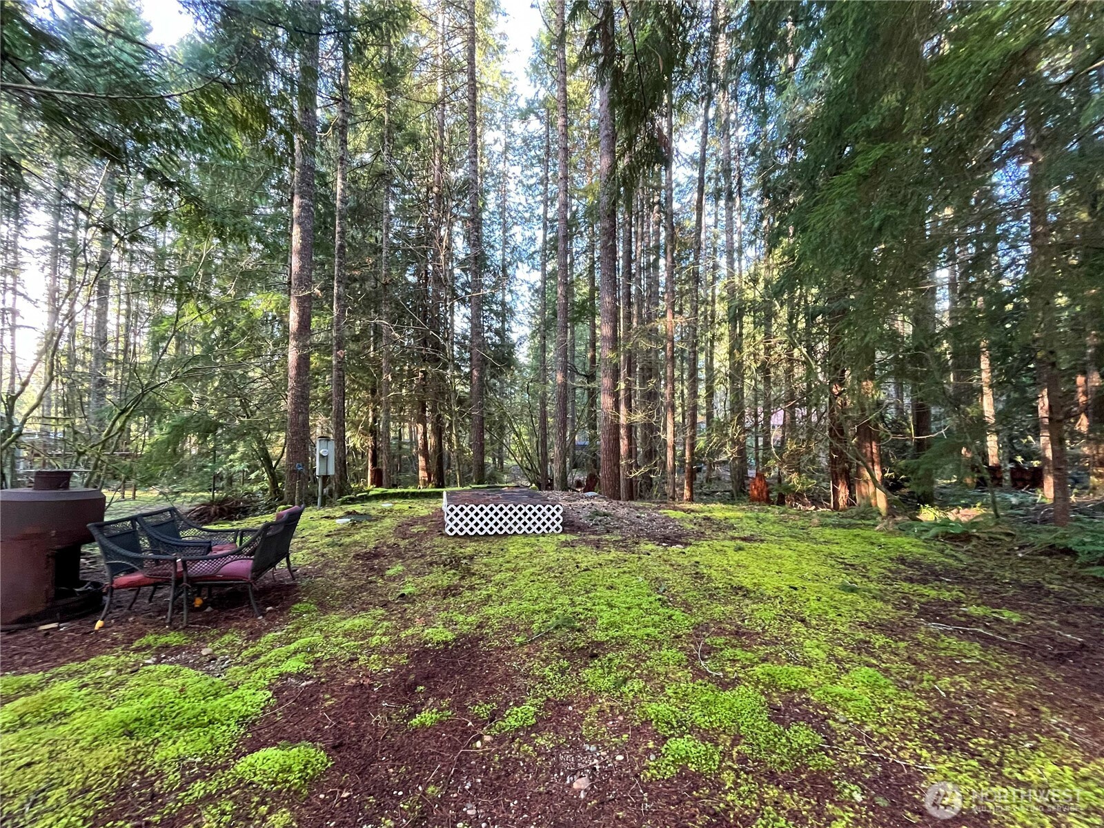 101 N Duckabush Loop W