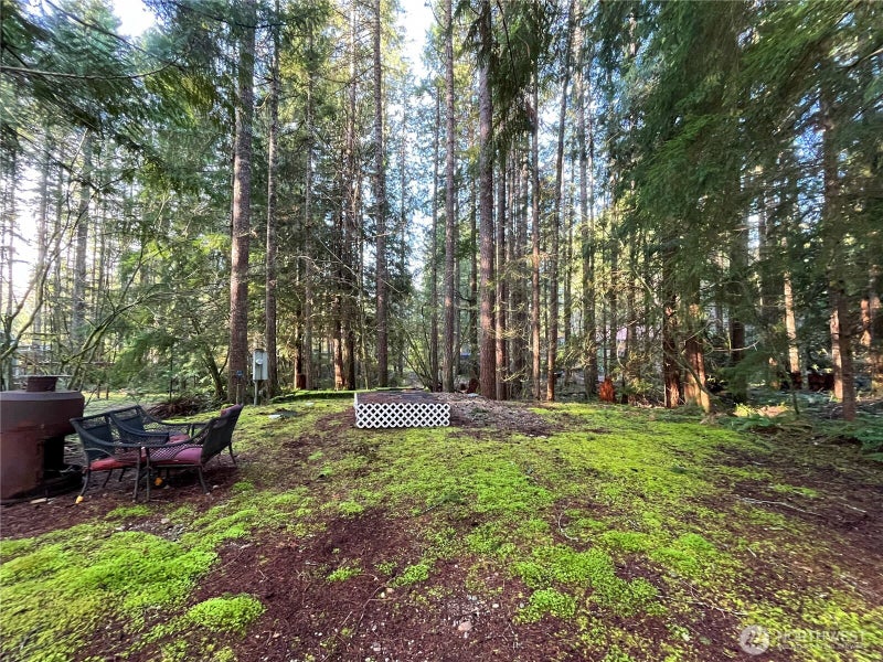 101 N Duckabush Loop W