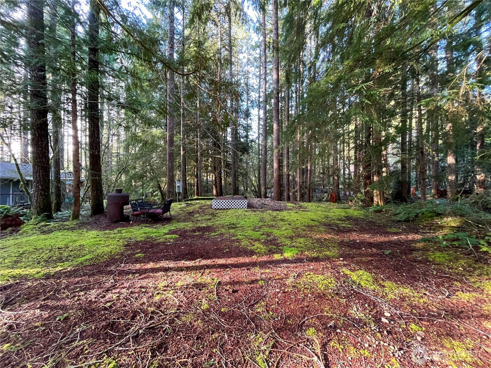 101 N Duckabush Loop W