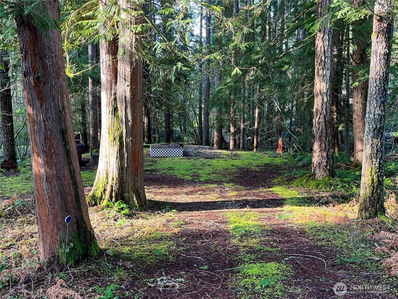 101 N Duckabush Loop W