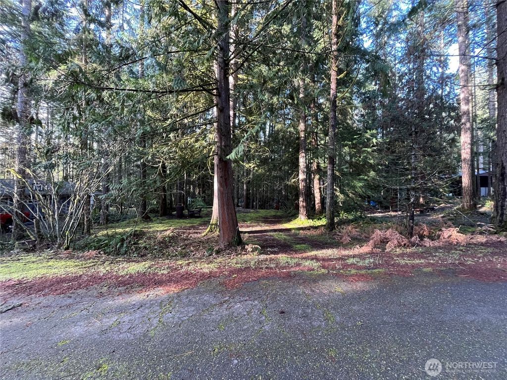 Photo of 101 N Duckabush Loop W, Hoodsport, WA 98548 (MLS # 2496157)