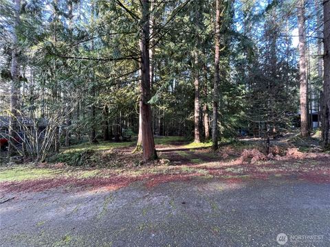 Photo of 101 N Duckabush Loop W, Hoodsport, WA 98548 (MLS # 2496157)