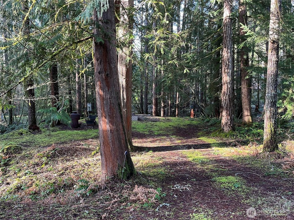 Photo of 101 N Duckabush Loop W, Hoodsport, WA 98548 (MLS # 2496157)