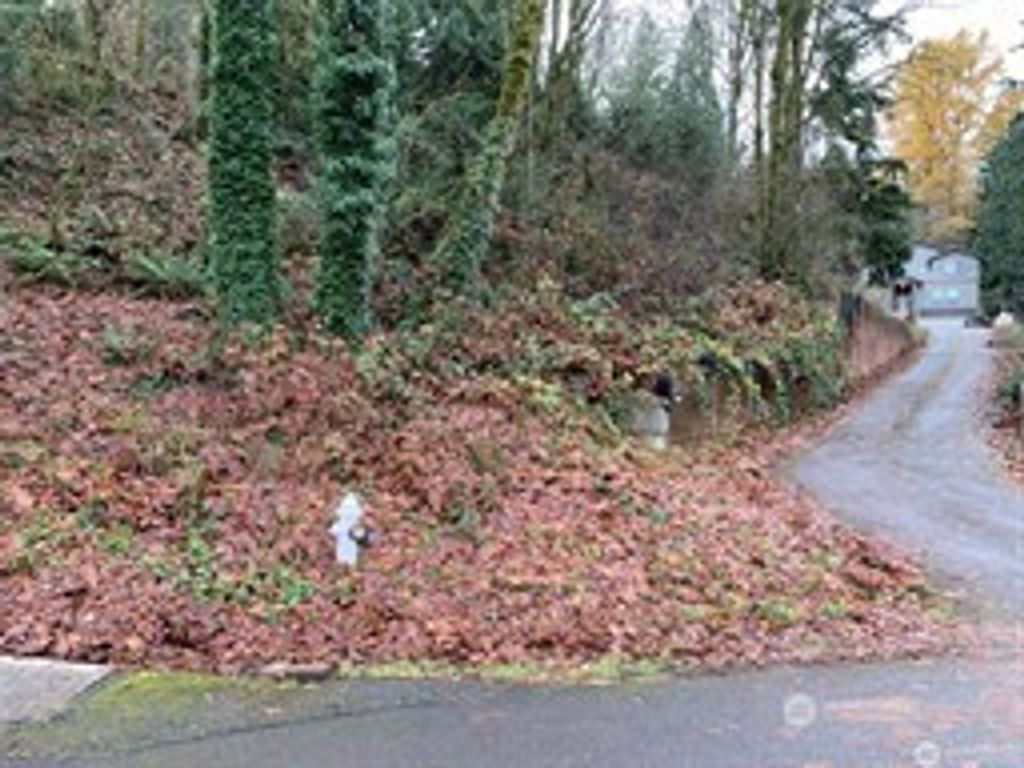 Photo of 435 SW Mount Baker Dr, Issaquah, WA 98027 (MLS # 2407716)