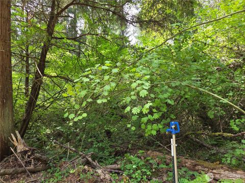Photo of 22041 Clear Lake Boulevard SE, Yelm, WA 98597 (MLS # 2418057)