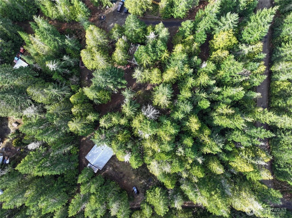 Photo of 260 NE Kissin Tree Lane, Tahuya, WA 98588 (MLS # 2489946)